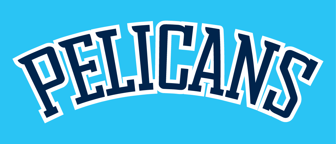 Lahti Pelicans 2017-Pres Wordmark Logo v2 iron on heat transfer